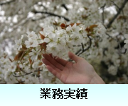 Ɩ